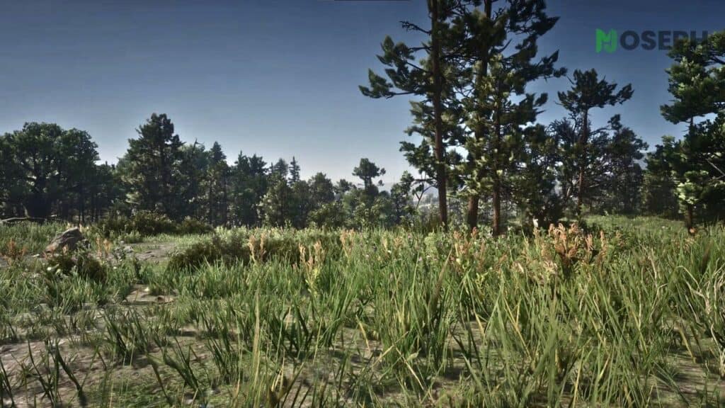 16 Best Red Dead Redemption 2 Graphics Mods: Updated Best Red Dead Redemption 2 Graphics Mods